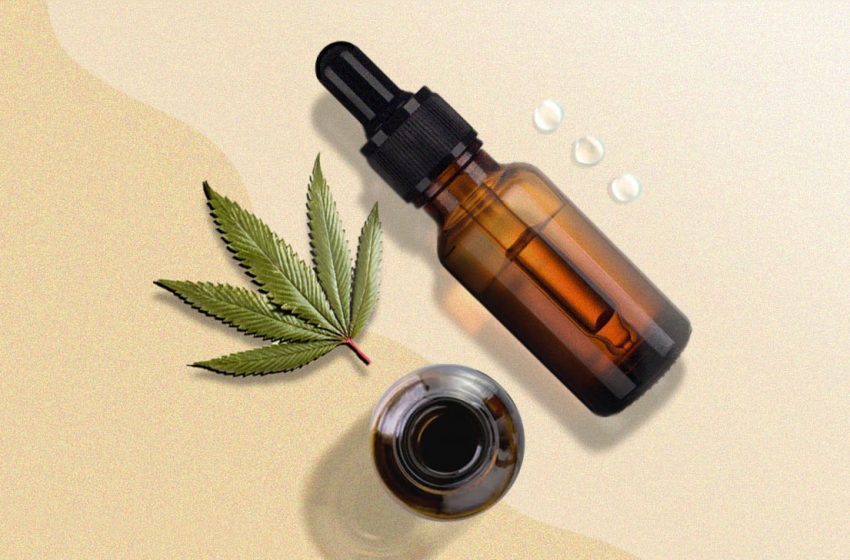  Everything worth knowing about the CBD oil