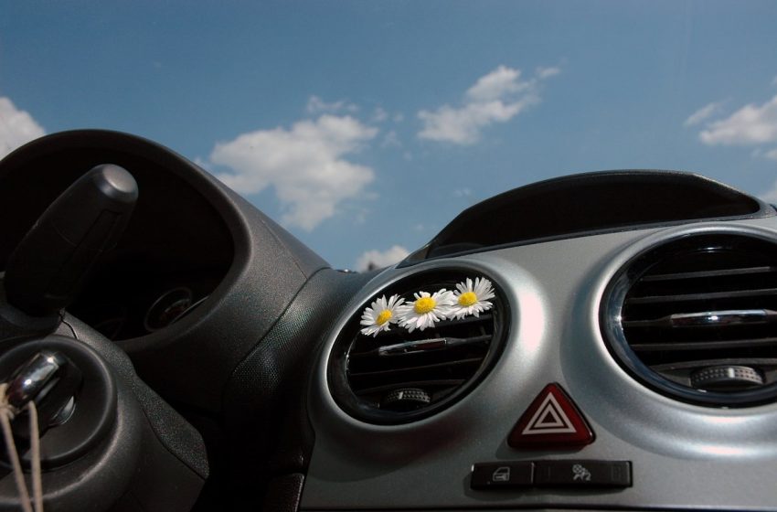  Types of Car Air Fresheners