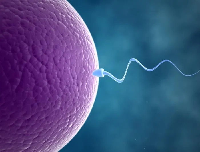  Infertility and How it Can be Cured
