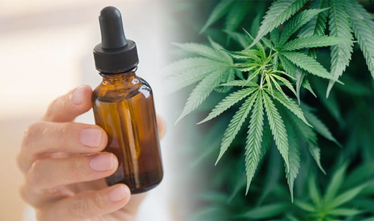  Everything You Need to Know About Legal Aspect of CBD Oil