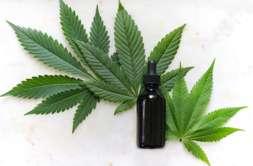 Exploring CBD Hemp Oil and Other Natural Solutions