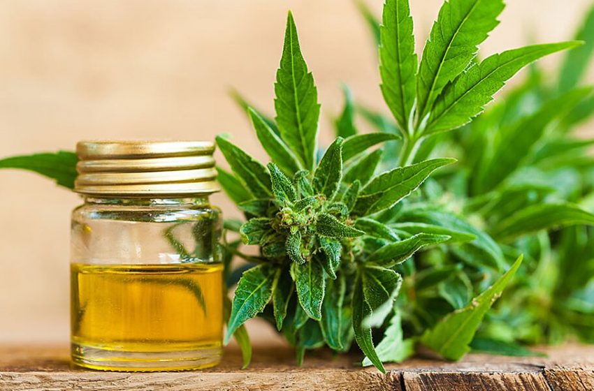  CBD Topical Application – A Detailed Guide