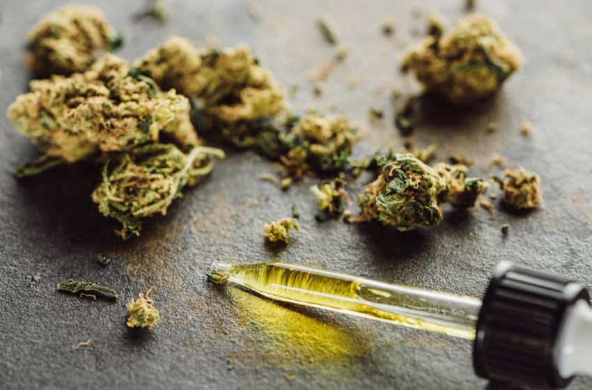  Microdosing Marijuana- All You Should Know