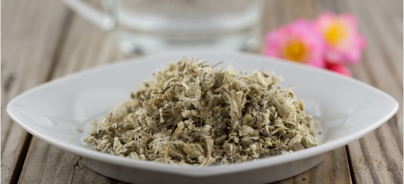  Irrefutable Reasons To Begin Consuming Marshmallow Root Extract