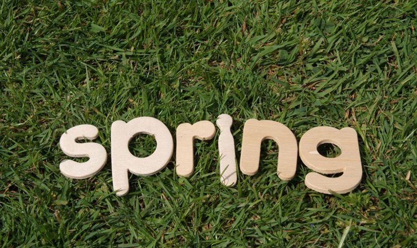 Fertilize Your Lawn in Spring