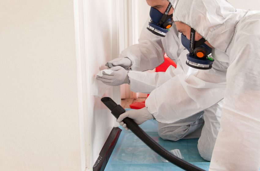  Understanding Asbestos Testing in St. George: Ensuring Safety Above All