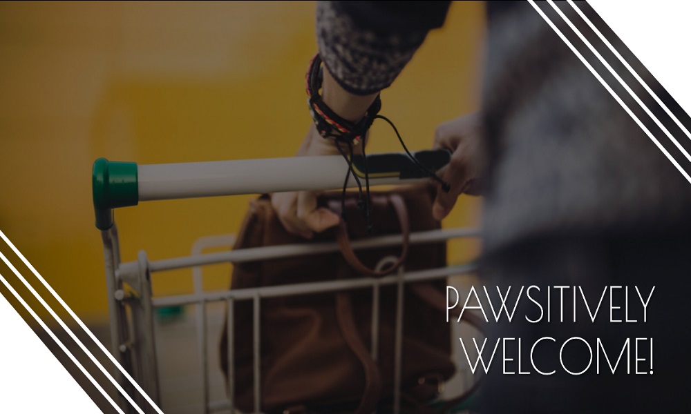 can you bring dogs into walmart