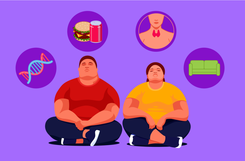  Tackling Obesity: A Comprehensive Guide to a Healthier You