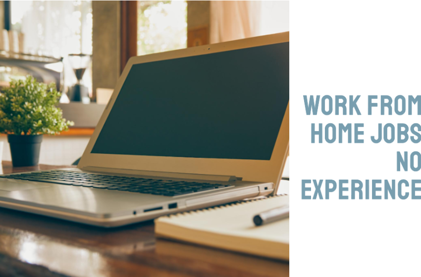  Work from Home Jobs No Experience
