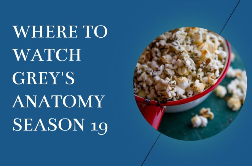  Where To Watch Grey’s Anatomy Season 19