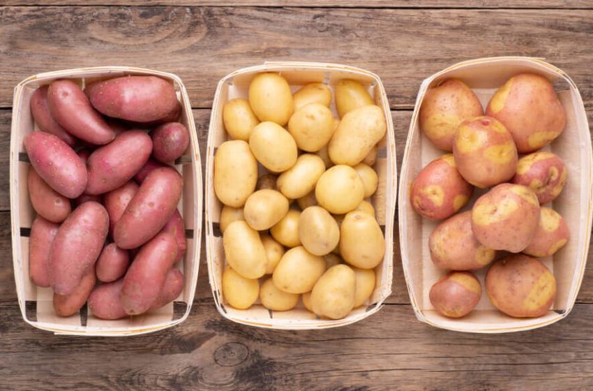  A Potato For Every Plate: Exploring The Spectrum Of Potato Types